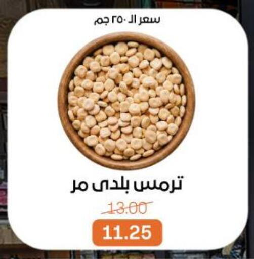 available at بيت الجملة in Egypt - القاهرة
