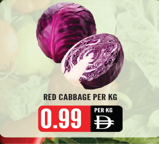 Cabbage available at Dream Land in UAE - Sharjah / Ajman
