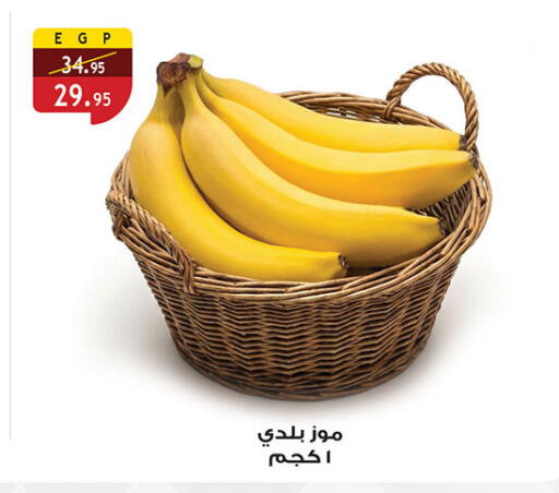 available at Al Rayah Market   in Egypt - Cairo
