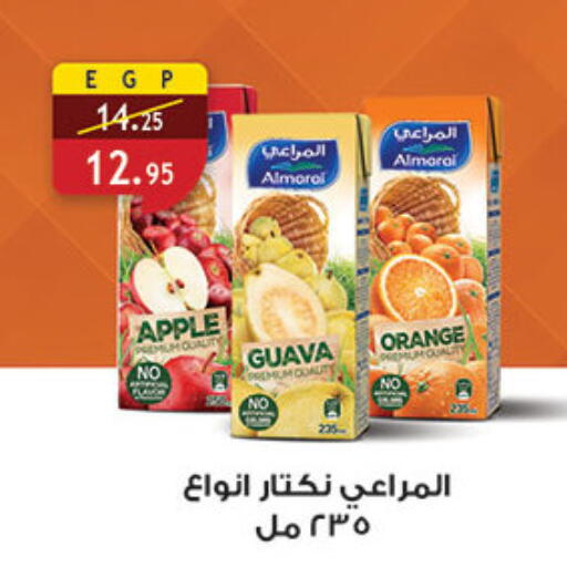 Apple Guava Orange available at Al Rayah Market   in Egypt - Cairo