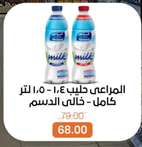 available at بيت الجملة in Egypt - القاهرة