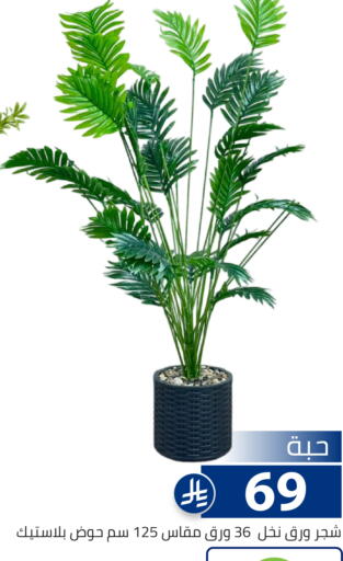 available at Family Discount in KSA, Saudi Arabia, Saudi - Riyadh