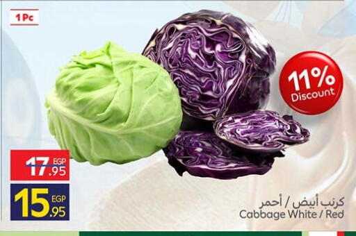Cabbage available at كارفور in Egypt - القاهرة