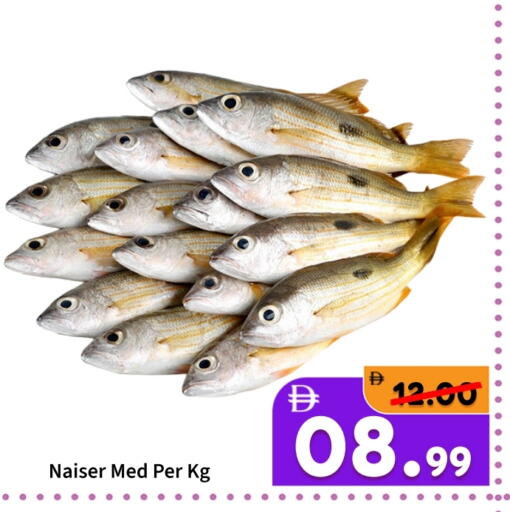 available at رويال جلف هايبرماركت in الإمارات العربية المتحدة , الامارات - أبو ظبي