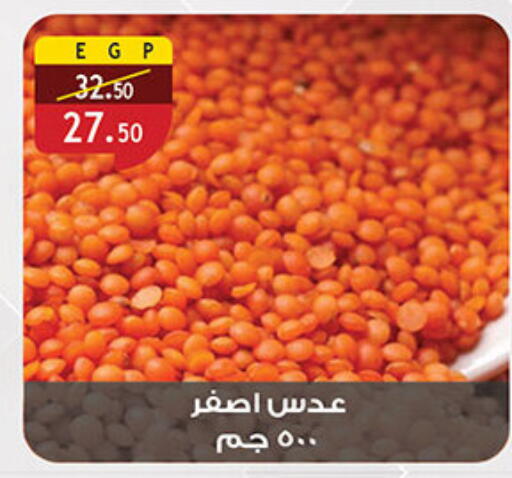 available at Al Rayah Market   in Egypt - Cairo