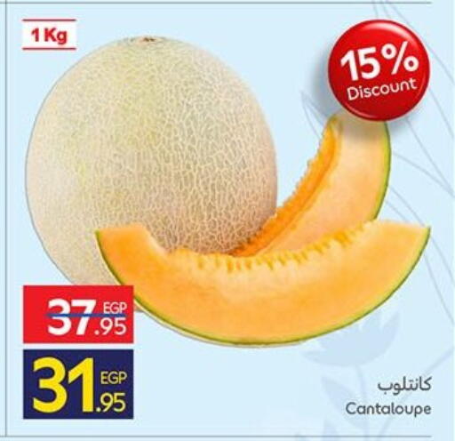 Cantaloupe available at Carrefour  in Egypt - Cairo