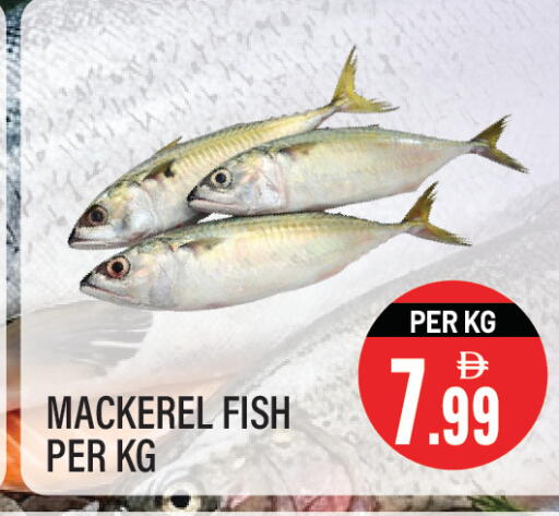 available at Dream Land in UAE - Sharjah / Ajman