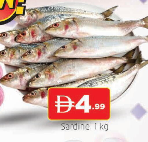 available at المدينة in الإمارات العربية المتحدة , الامارات - الشارقة / عجمان