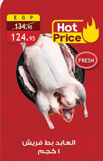 available at الرايه  ماركت in Egypt - القاهرة