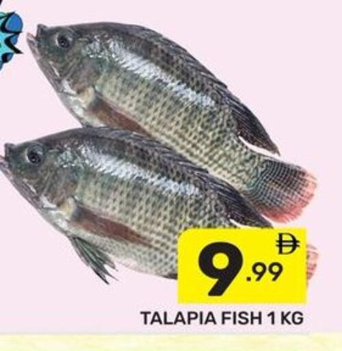 available at دريم نايت هايبرماركت in الإمارات العربية المتحدة , الامارات - دبي