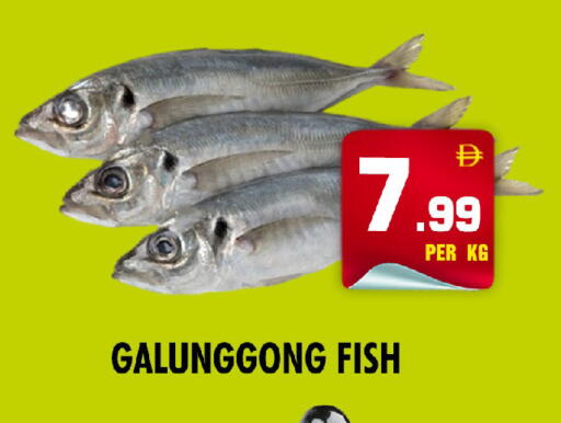 available at نايت تو نايت in الإمارات العربية المتحدة , الامارات - الشارقة / عجمان