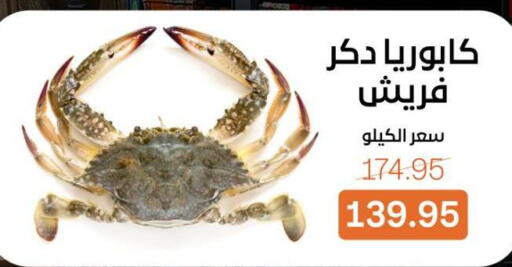 available at بيت الجملة in Egypt - القاهرة