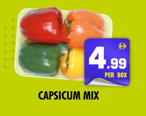 Capsicum available at نايت تو نايت in الإمارات العربية المتحدة , الامارات - الشارقة / عجمان
