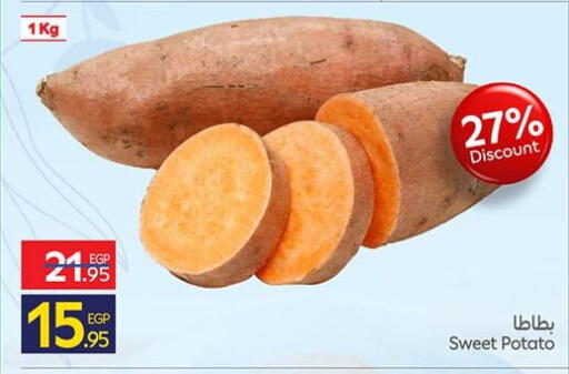 Sweet Potato available at كارفور in Egypt - القاهرة