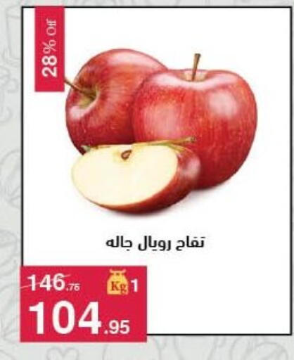 available at محمود الفار in Egypt - القاهرة