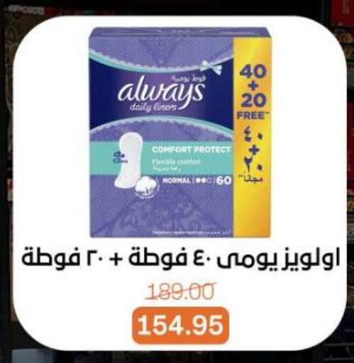 available at بيت الجملة in Egypt - القاهرة