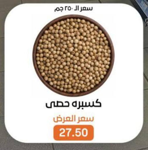 available at Beit El Gomla in Egypt - Cairo