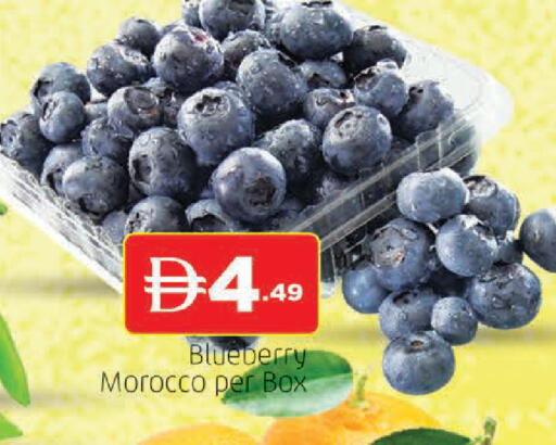 Blueberry BlueBerry from Morocco available at المدينة in الإمارات العربية المتحدة , الامارات - الشارقة / عجمان