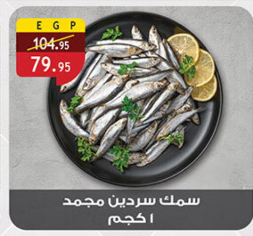 available at Al Rayah Market   in Egypt - Cairo