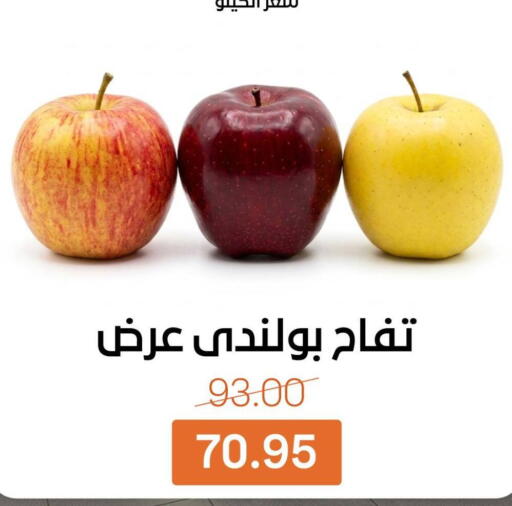available at بيت الجملة in Egypt - القاهرة
