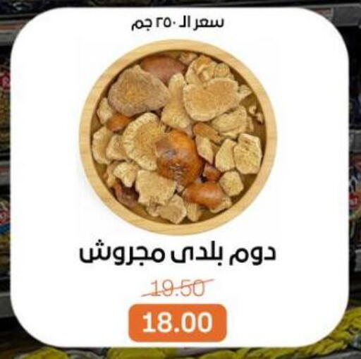 available at بيت الجملة in Egypt - القاهرة