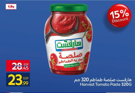 Tomato available at Carrefour  in Egypt - Cairo