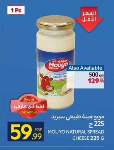 available at كارفور in Egypt - القاهرة