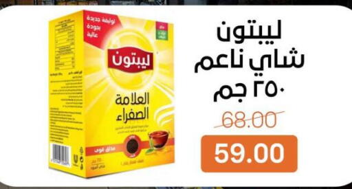 available at بيت الجملة in Egypt - القاهرة