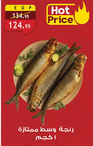 available at الرايه  ماركت in Egypt - القاهرة