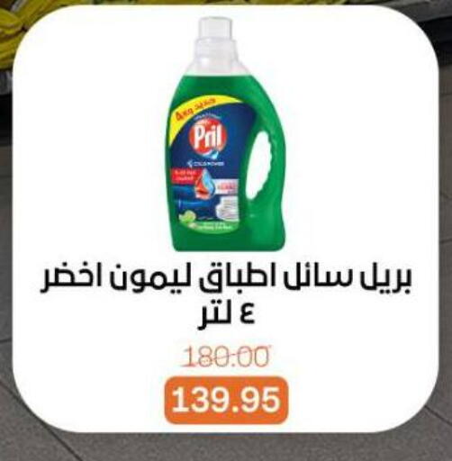 available at بيت الجملة in Egypt - القاهرة