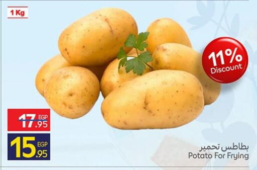 Potato available at كارفور in Egypt - القاهرة