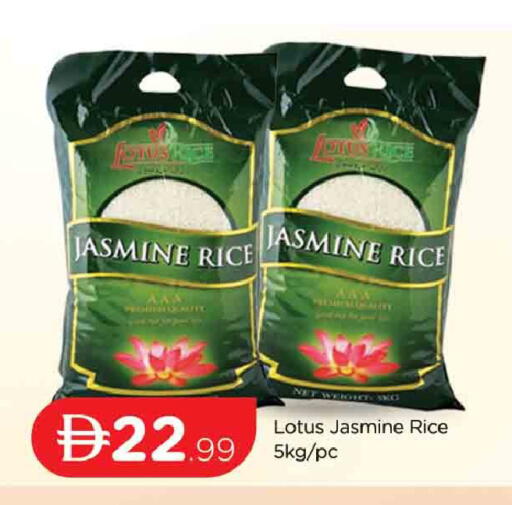 available at المدينة in الإمارات العربية المتحدة , الامارات - دبي