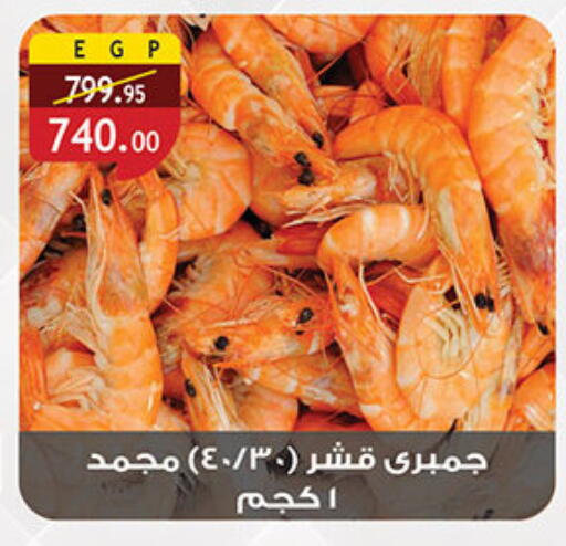 available at الرايه  ماركت in Egypt - القاهرة