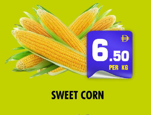 available at نايت تو نايت in الإمارات العربية المتحدة , الامارات - الشارقة / عجمان