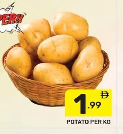 Potato available at Dream Night hypermarket in UAE - Dubai