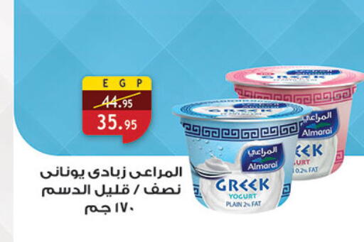 available at الرايه  ماركت in Egypt - القاهرة