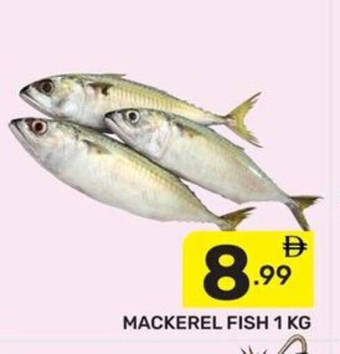 available at دريم نايت هايبرماركت in الإمارات العربية المتحدة , الامارات - دبي