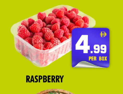 Raspberry available at نايت تو نايت in الإمارات العربية المتحدة , الامارات - الشارقة / عجمان