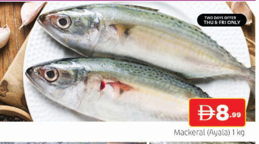 available at المدينة in الإمارات العربية المتحدة , الامارات - الشارقة / عجمان