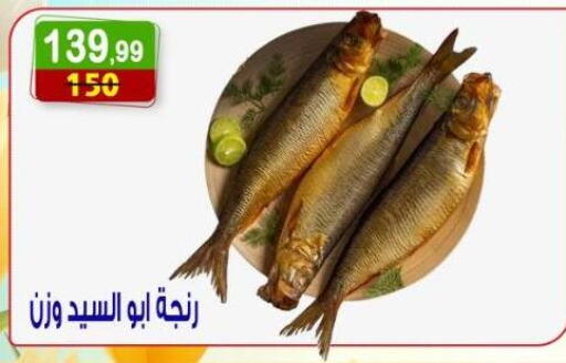 available at Hyper Eagle in Egypt - Cairo