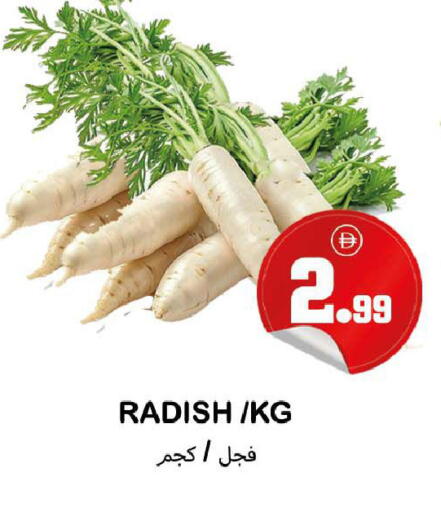 Radish available at سوق المبارك هايبرماركت in الإمارات العربية المتحدة , الامارات - الشارقة / عجمان