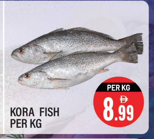 available at Dream Land in UAE - Sharjah / Ajman