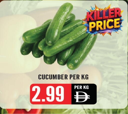 Cucumber available at Dream Land in UAE - Sharjah / Ajman