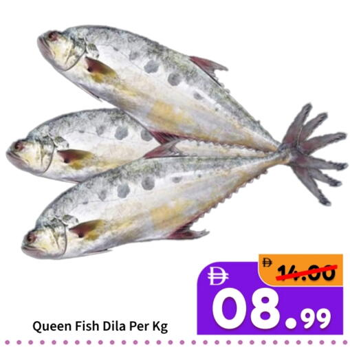 available at ROYAL GULF HYPERMARKET LLC in UAE - Abu Dhabi