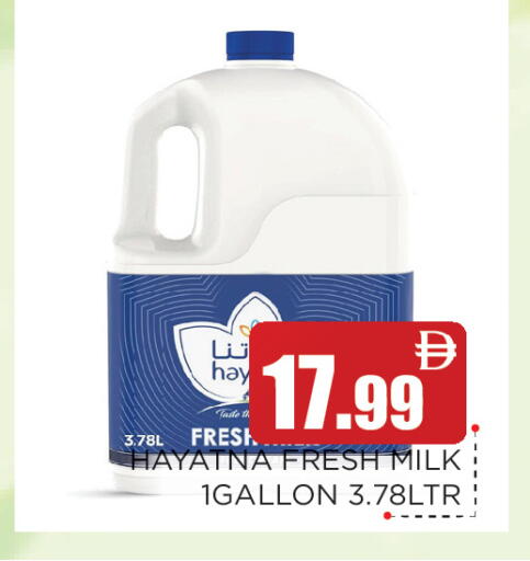 available at Ain Al Madina Hypermarket in UAE - Sharjah / Ajman