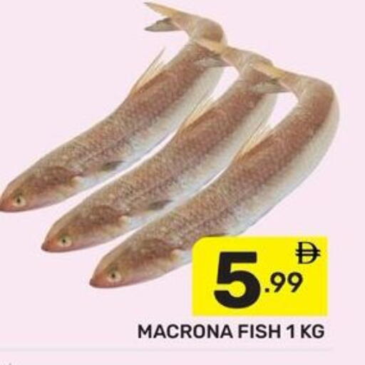 available at دريم نايت هايبرماركت in الإمارات العربية المتحدة , الامارات - دبي