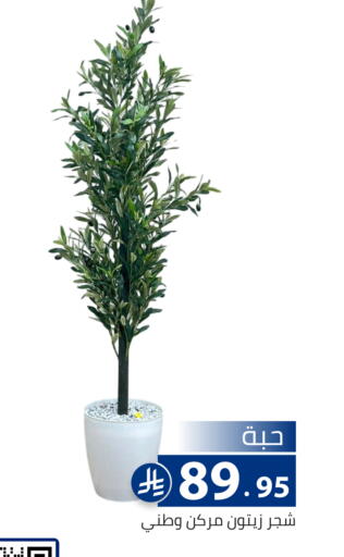 available at تخفيضات العائلة in مملكة العربية السعودية, السعودية, سعودية - الرياض