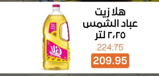 available at بيت الجملة in Egypt - القاهرة