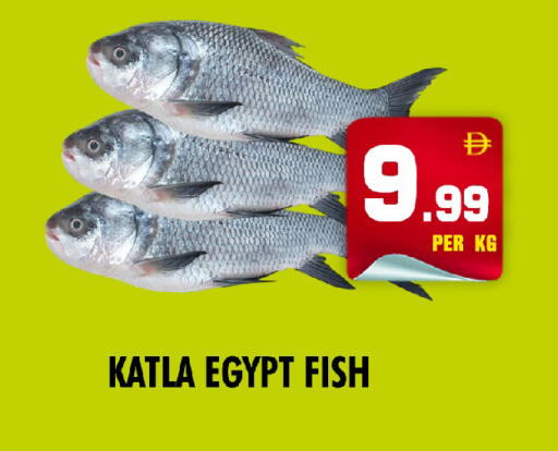 available at نايت تو نايت in الإمارات العربية المتحدة , الامارات - الشارقة / عجمان