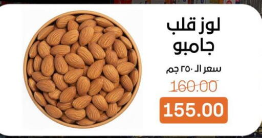 available at بيت الجملة in Egypt - القاهرة